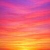 sunsetsparrow05